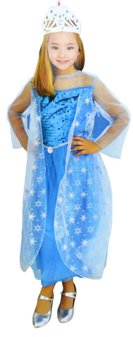 Princess Elsa Dressing Up Costume (7 to 10 years)(ELS-01) - craze-trade-limited